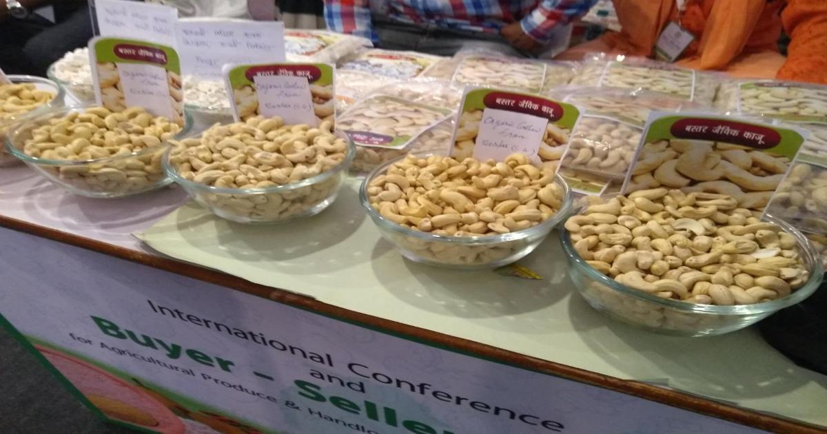 जापानी खायेंगे छत्तीसगढ़ का काजू,अलसी, धनिया और मसूर, अब प्रदेश के किसान होंगे समृद्ध
