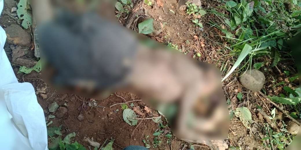 खेत में फसल की रखवाली कर रहे ग्रामीण को हाथी ने कुचला, मौके पर हुई मौत