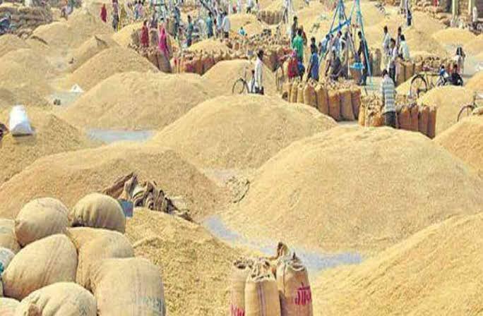 धान खरीदी मामले में मंत्रिमंडल उप समिति की महत्वपूर्ण बैठक 31 अक्टूबर को, 5 मंत्री होंगे मीटिंग में शामिल