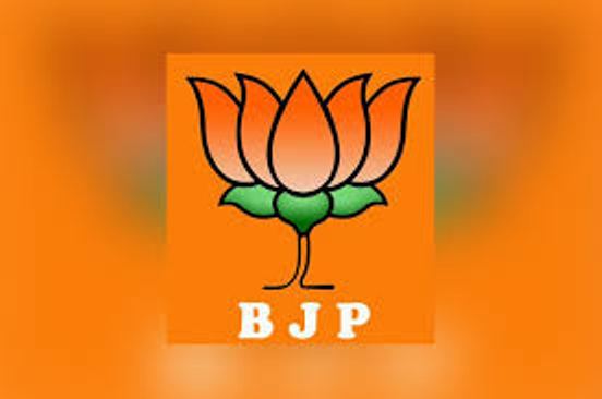 ‘ये वाले पटाखे कम करो’ पर घिरे BJP नेता, FIR दर्ज