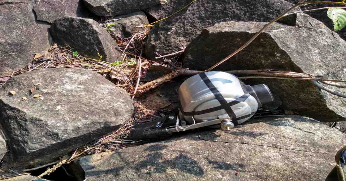 जवानों ने नाकाम की नक्सलियों की बड़ी साजिश, जंगल से विस्फोटक सामग्री बरामद