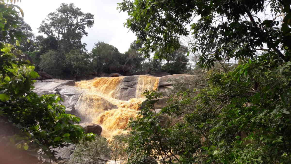 जशपुर के गुल्लू फाल में मिला स्कूली छात्रा का शव, दुष्कर्म के बाद हत्या की जताई जा रही आशंका…