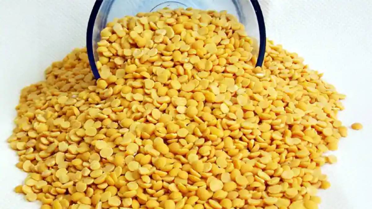 दाल मिल संचालकों को सरकार का तोहफाः एमपी में अन्‍य राज्‍यों से लाई जाने वाली तुअर पर नहीं लगेगा मंडी शुल्क, वनवासी-आदिवासी महिलाओं को अब सैंडिल और साड़ी मिलेगी