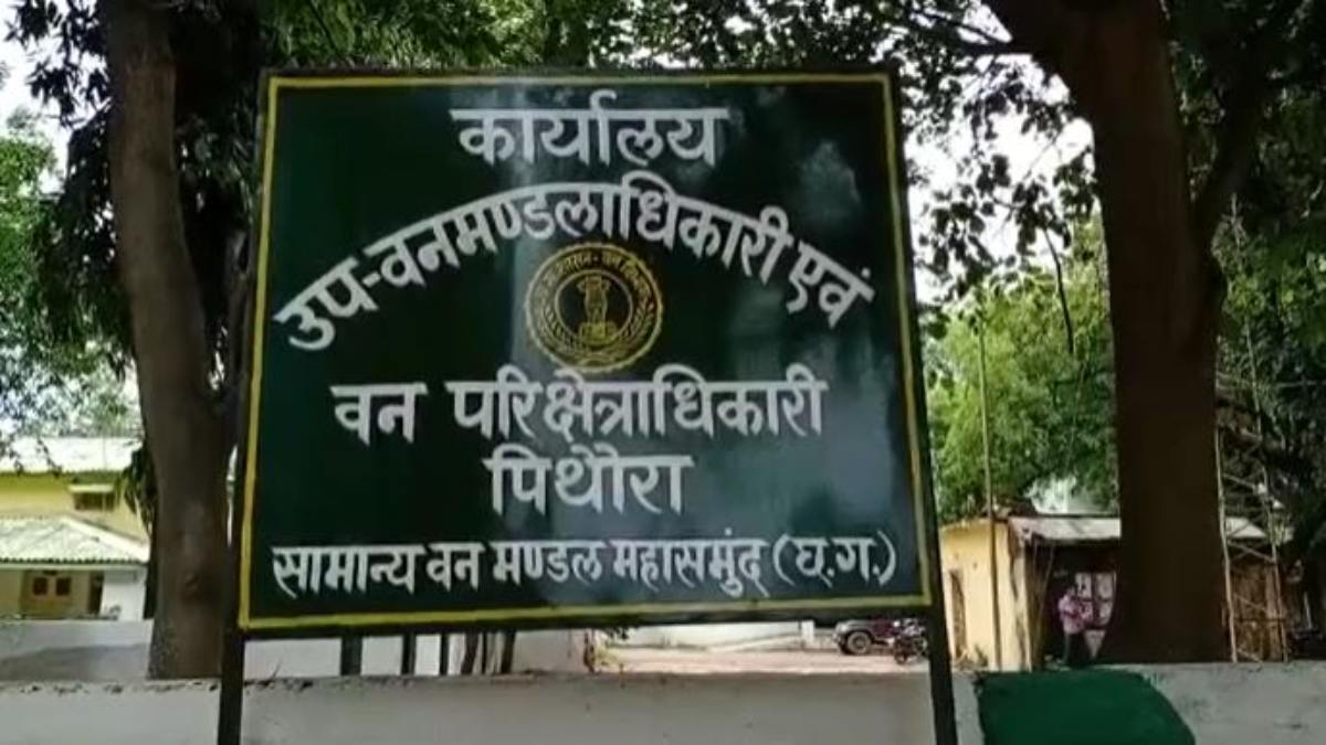 CG NEWS : जंगली सुअर का शिकार करते 4 आरोपी गिरफ्तार, वन अमले ने रंगे हाथों पकड़ा, कई हथियार बरामद