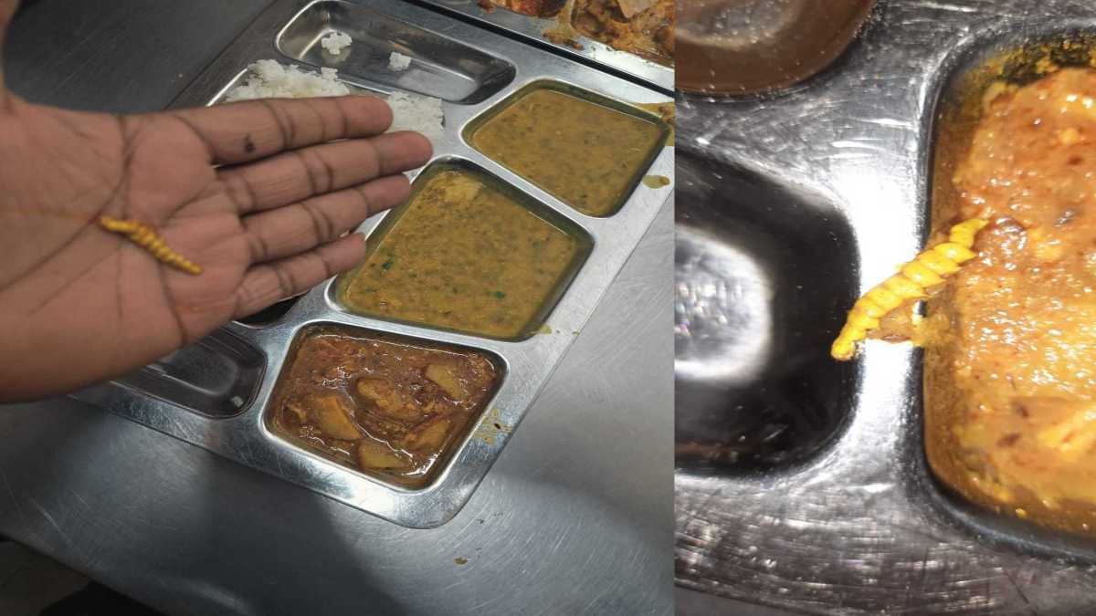 Bhopal News: BHEL कैंटीन के खाने में मिला कीड़ा, नाराज कर्मचारियों ने किया प्रदर्शन