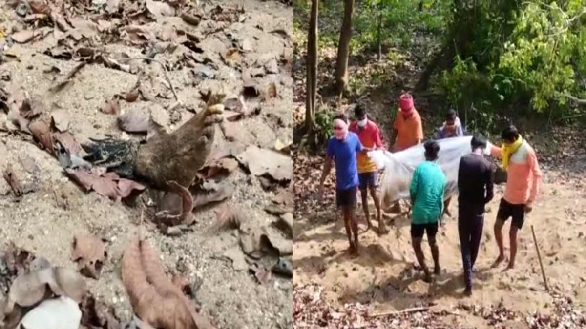 CG में कत्ल के कितने किरदारः पूर्व सहायक आरक्षक की नदी की रेत में दबी मिली लाश, आखिर बेटे के सामने किसने की थी पिटाई, जांच में जुटी पुलिस…
