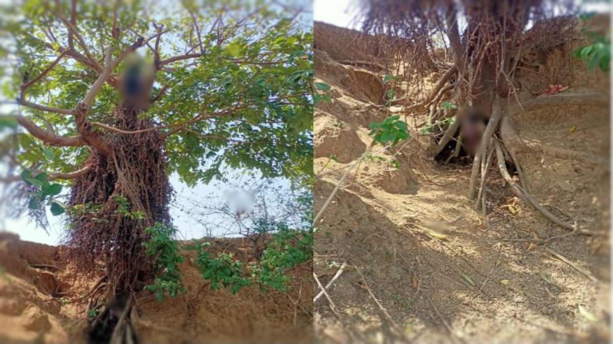 CG में हृदयविदारक घटना: मां ने 5 दिन की बच्ची को फंदे में लटकाया, फिर खुद भी कर ली खुदकुशी, जांच में जुटी पुलिस