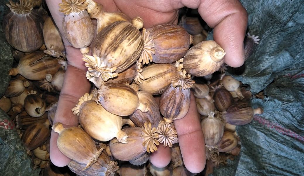 Rajasthan News: साढ़े तीन करोड़ रुपए का डोड़ा चूरा जब्त