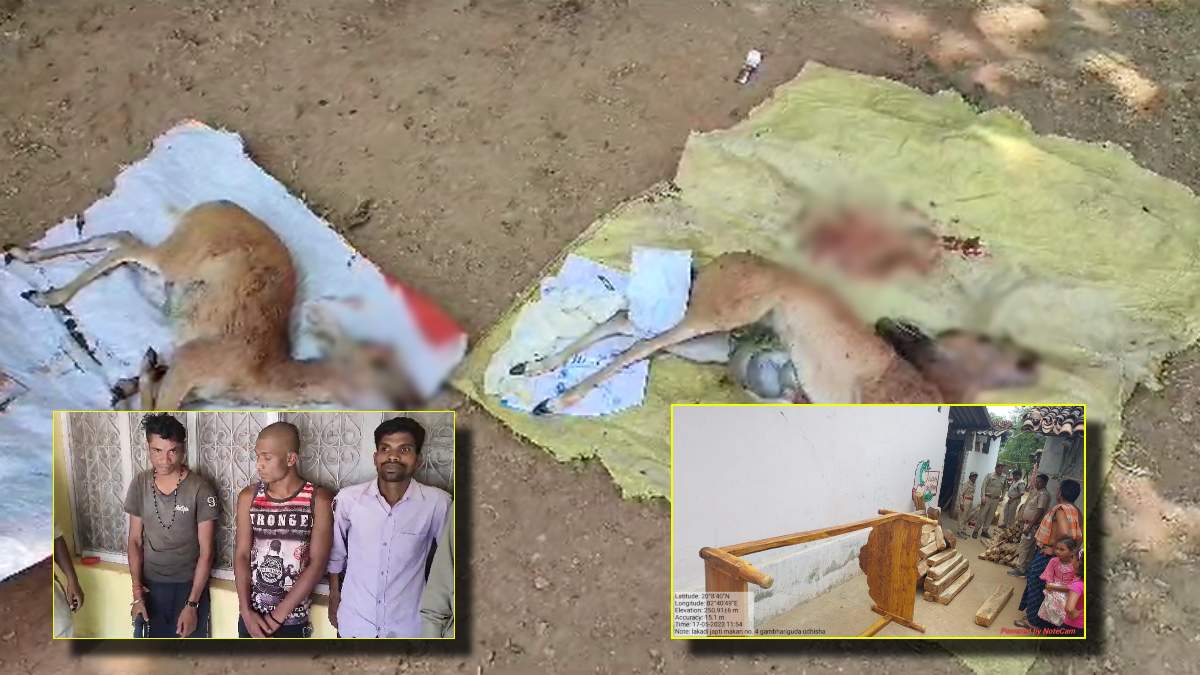CG BREAKING: 2 हिरण का शिकार, 3 आरोपी गिरफ्तार और 1 फरार, इधर 10 लाख के चिरान जब्त