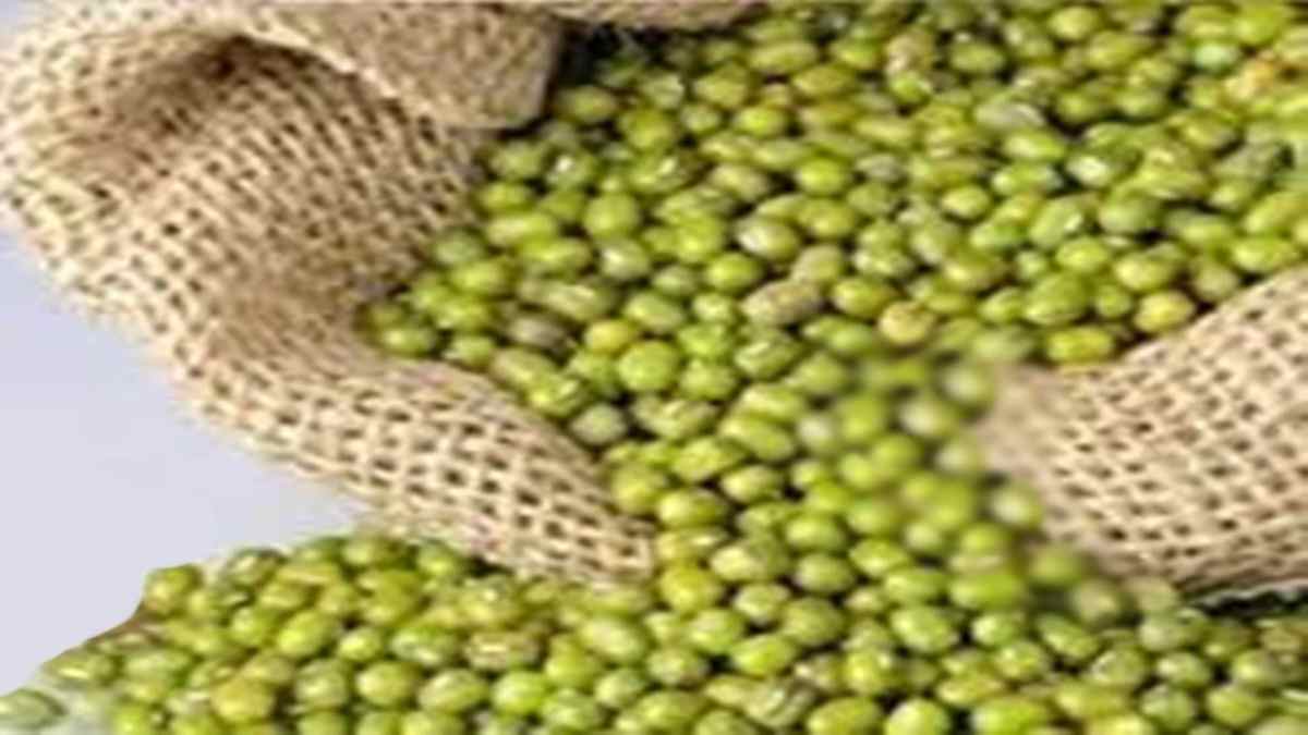 किसानों के लिए जरूरी खबर: समर्थन मूल्य पर मूंग खरीदी के लिए पंजीयन तारीख बढ़ी, कृषि मंत्री बोले- किसानों का सुरक्षा कवच बनेगी सरकार