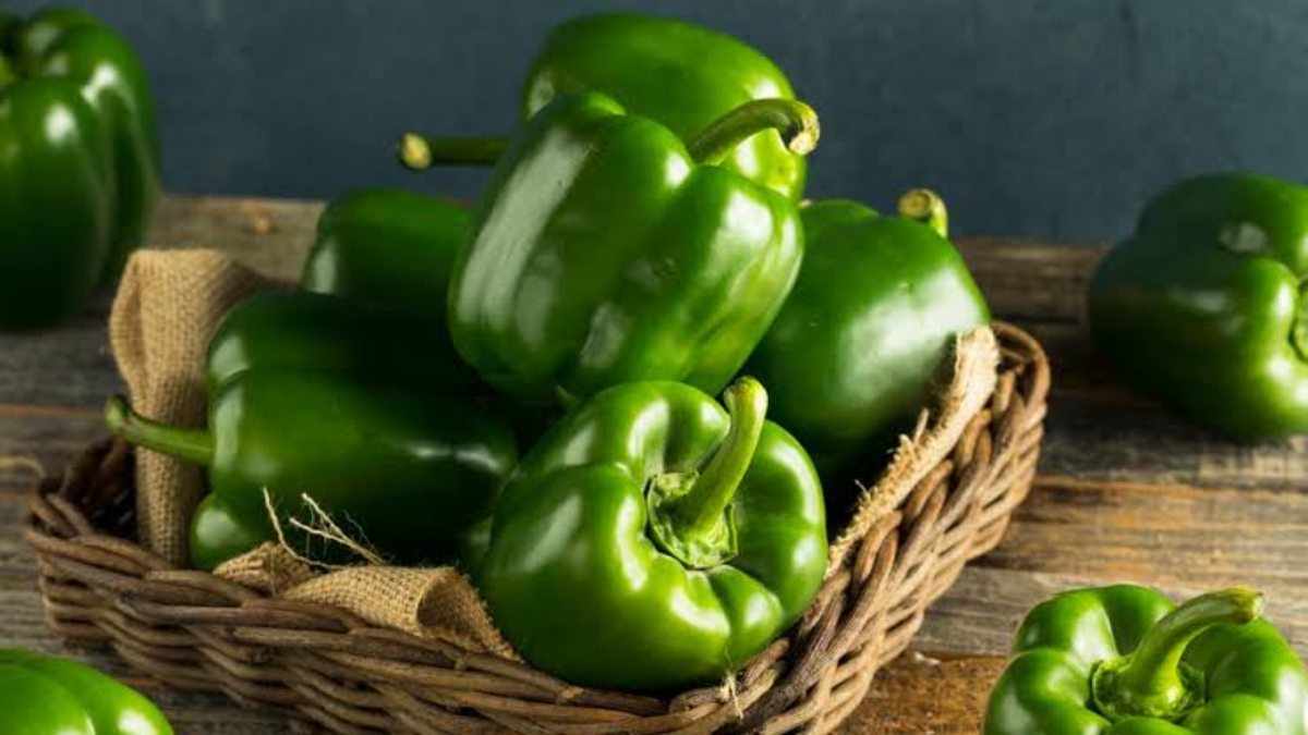 शिमला मिर्च खरीदते समय अपनाएं ये Tips, मिलेगी ताजी और अच्छी क्वालिटी की Capsicum …
