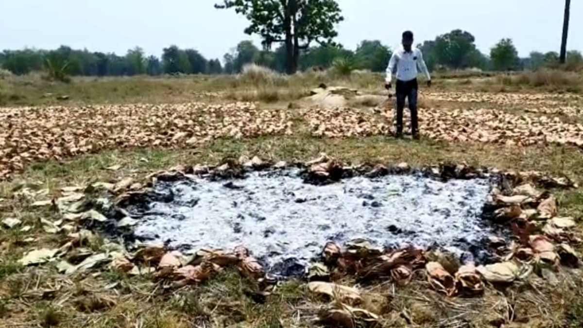 ‘हरे सोने’ पर ‘लाल आतंक’ का कहर: नक्सलियों ने तेंदूपत्ता के 15 फड़ों में लगाई आग, दाम नहीं बढाने पर ठेकेदार को…