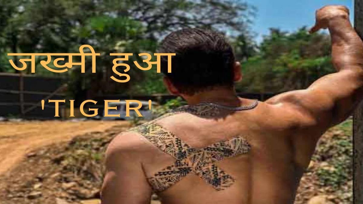 Salman Khan हुए घायल, एक्टर ने शेयर की तस्वीर …