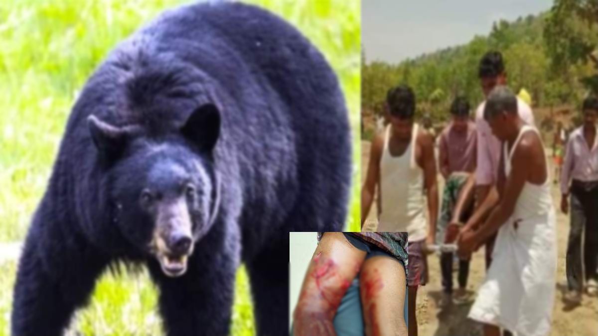 CG Bear Attack : ग्रामीण पर भालू ने किया जानलेवा हमला, जान बचाने 10 मिनट तक करता रहा संघर्ष