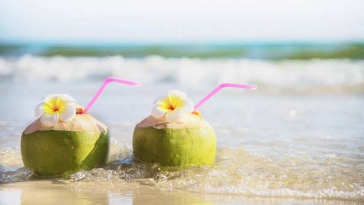 हरा नारियल खरीदते समय follow करेंगे ये tips… जरूर ले पाएंगे ज्यादा पानी वाला नारियल…
