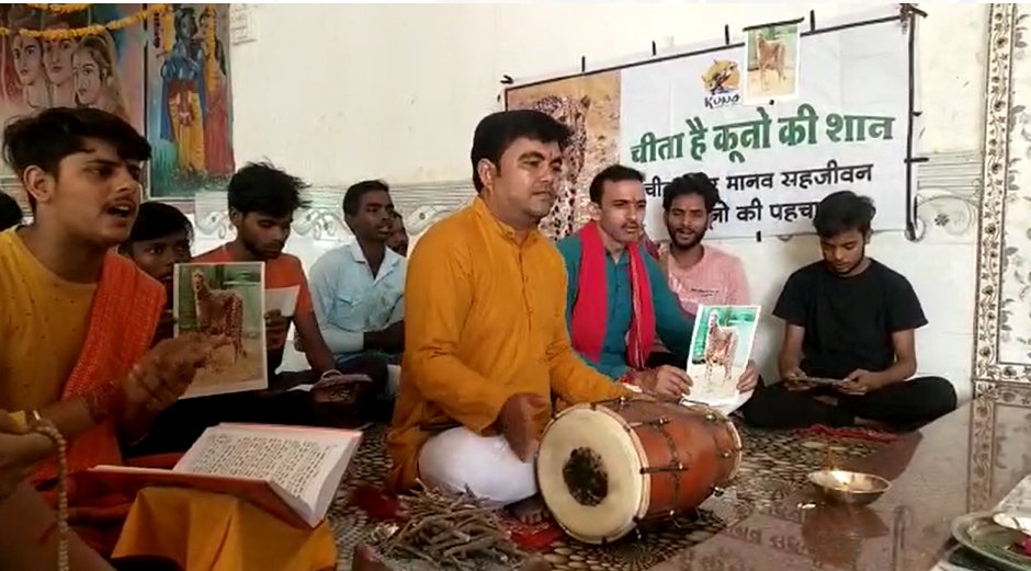 चीतों को बचाने महामृत्युंजय का जापः कूनो नेशनल पार्क में 6 चीतों की मौत के बाद हवन-पूजन, बीमार शावक की सलामती के लिए मंदिर में की प्रार्थना