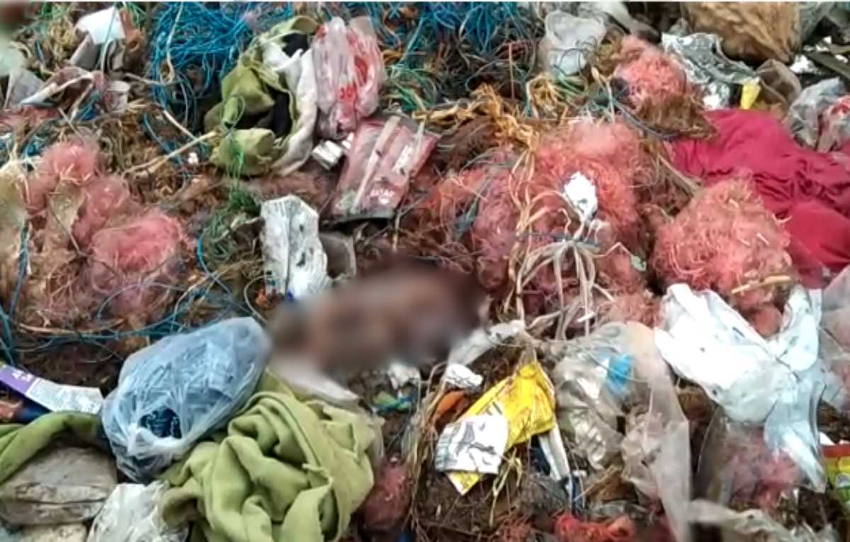 MP में फिर इंसानियत शर्मसार: कचरे के ढेर में मिला नवजात का शव, जांच में जुटी पुलिस