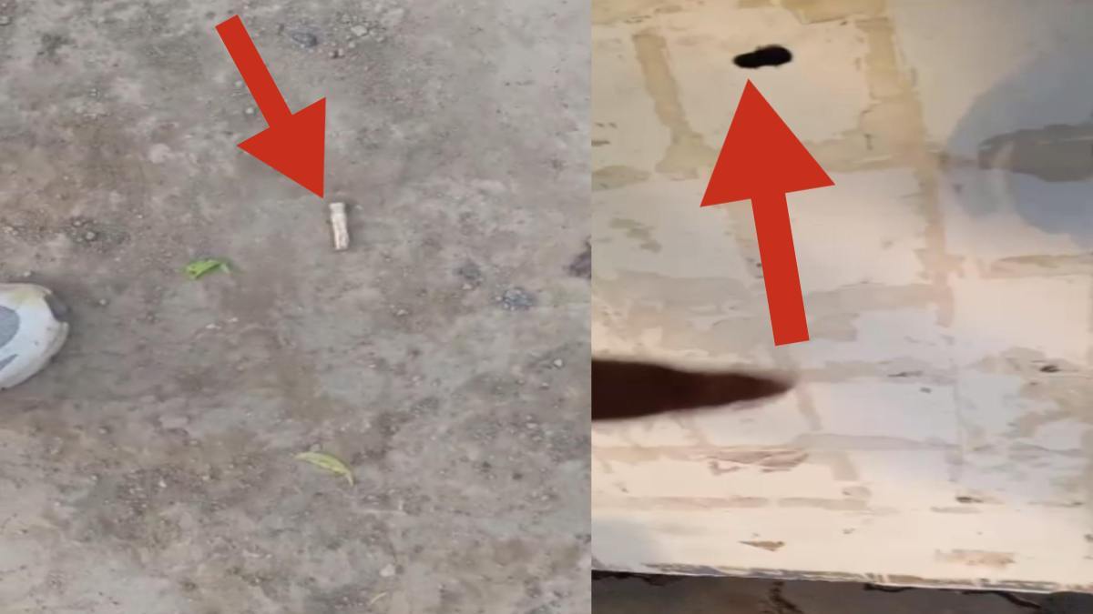 Morena News: पुरानी रंजिश को लेकर एक दर्जन बदनाशों ने की फायरिंग, इधर छेड़छाड़ का विरोध करने पर आरोपी ने महिला पर किया जानलेवा हमला