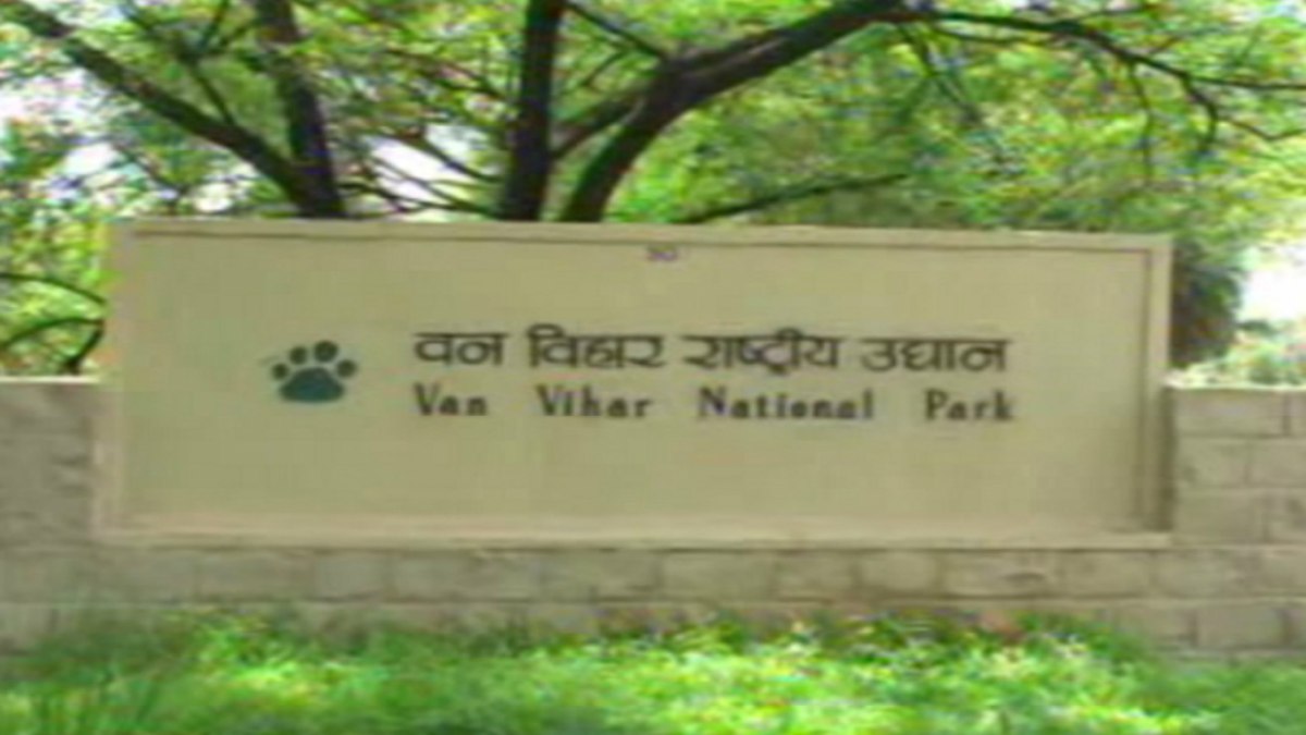 भोपाल नेशनल पार्क वन विहार में जानवरों की हुई गिनती: पार्क में कुल 121 जानवर बाड़े और 1383 खुले में, प्रबंधन ने जारी की ताजा रिपोर्ट