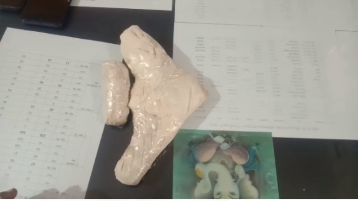 अवैध हथियार के खिलाफ धरपकड़ अभियानः लोडेड देसी कट्टे के साथ युवक गिरफ्तार, जिंदा कारतूस भी बरामद