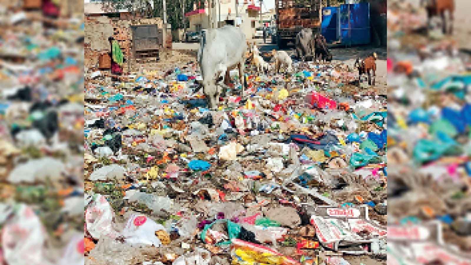 सफाई न होने पर दो कंपनी पर दस लाख का जुर्माना