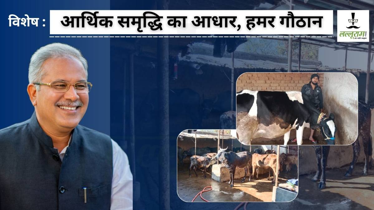 विशेष : गोधन की बिक्री से हुई आमदनी ने पलटी पशुपालकों की तकदीर, आर्थिक समृद्धि का आधार बना गौठान, परिवार में आई खुशहाली