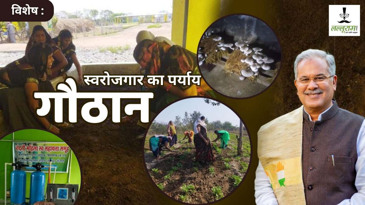 विशेष : स्वरोजगार का पर्याय बने गौठान, गांवों के स्वावलंबी होने का सपना हो रहा साकार, गोधन न्याय योजना ने बढ़ाई पशुधन की महत्ता