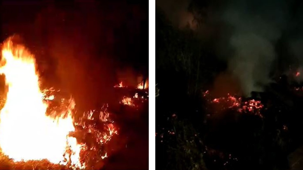 CG FIRE NEWS : चिल्ड्रन पार्क में लगी आग, कई घंटों की मशक्कत के बाद पाया गया काबू