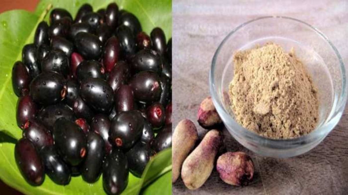Benefits of Jamun Seeds: जामुन खाने के बाद भूलकर भी न फेंके उसकी गुठलियां, इसे सुखाकर तैयार करें पाउडर, कई बीमारियों के लिए है फायदेमंद