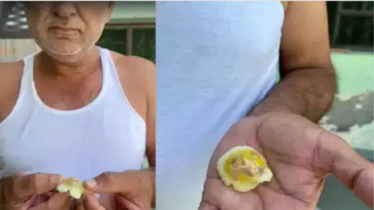 अंडे के अंदर से निकली प्लास्टिक तो मामले की शुरू हुई जांच, नकली अंडों की ऐसे कर सकते हैं पहचान