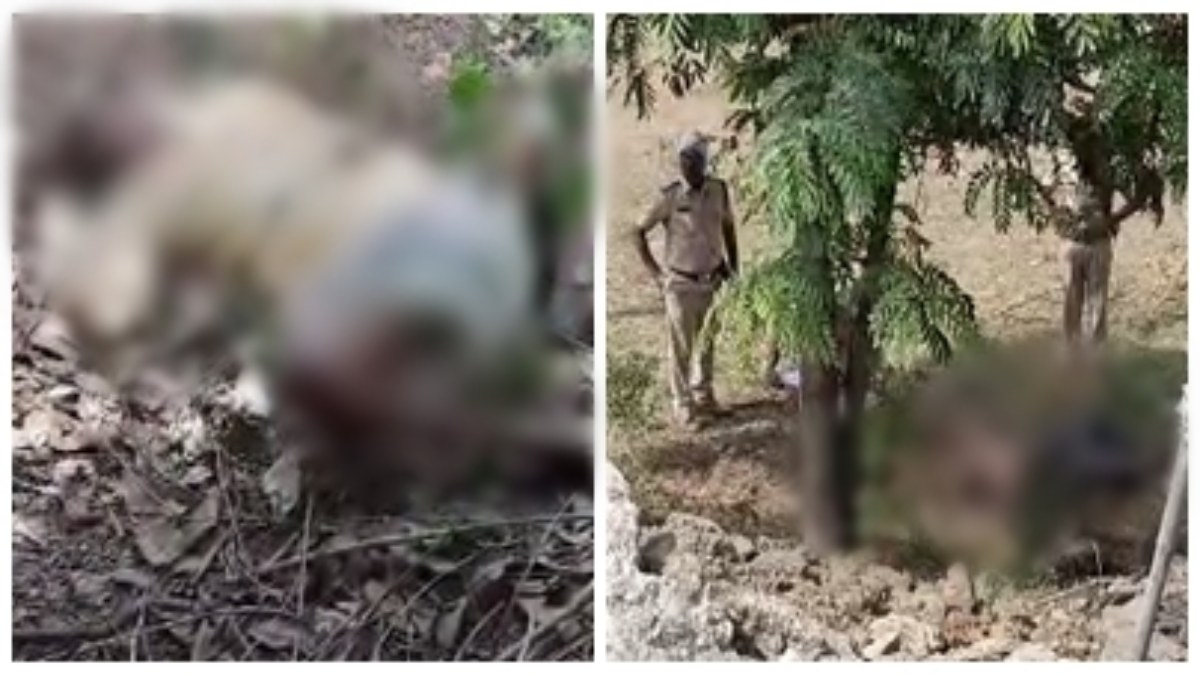 MP CRIME: मुरैना में बुजुर्ग का मिला शव, इधर पांढुर्णा में लापता युवक की लाश मिलने से सनसनी, जांच में जुटी पुलिस    