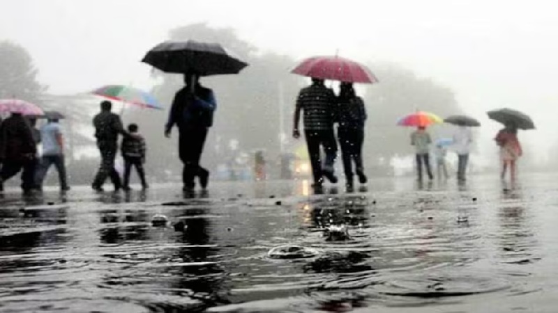 Haryana & Punjab Weather : मानसून की एंट्री, भारी बारिश की चेतावनी