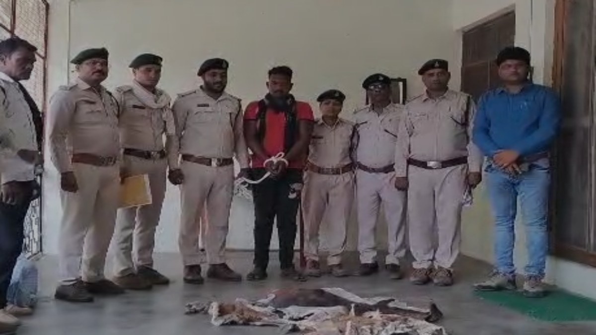 MP में वन विभाग की बड़ी कार्रवाई: तस्कर से तीन हिरण की खाल जब्त, इसमें काला हिरण भी शामिल
