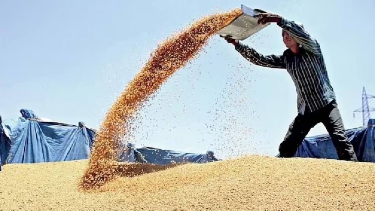 Wheat Stock Limit: गेहूं के स्टॉक की लिमिट तय, जानिए अब कितना गेहूं रख सकेंगे व्यापारी ?