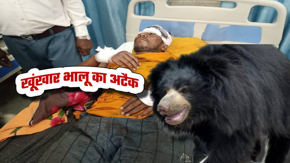CG में खूंखार भालू का अटैक: 3 भालुओं ने बैगा दंपत्ति पर किया अटैक, लहूलुहान अस्पताल में भर्ती, कराह से गूंज रहा अस्पताल