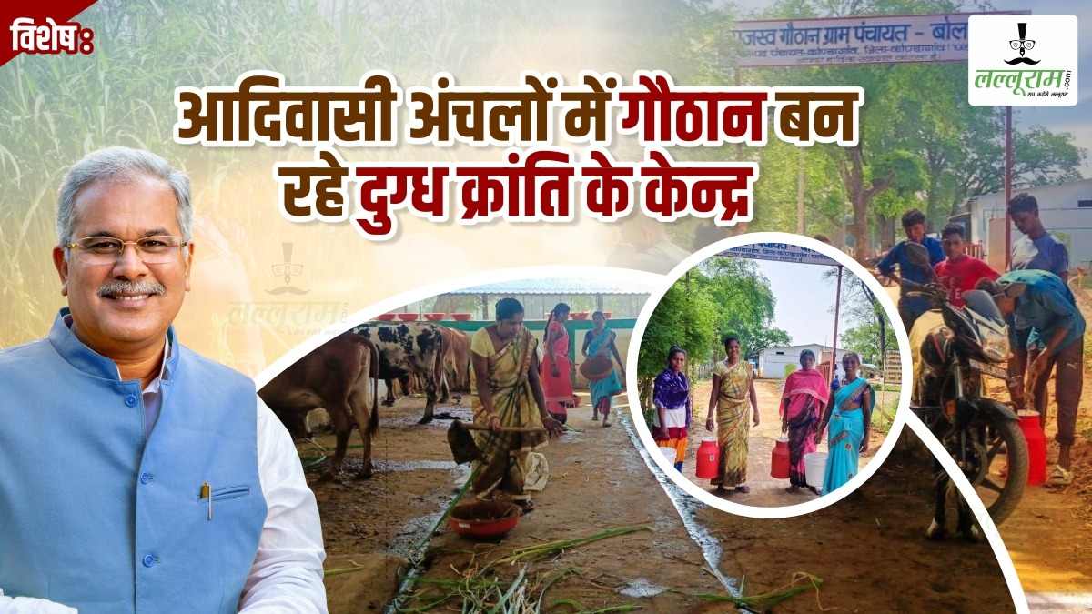 विशेष : आदिवासी अंचल के गाैठानों में बह रही दूध की नदी, सीएम भूपेश की एक अपील से दुग्ध क्रांति का केंद्र बना गांव
