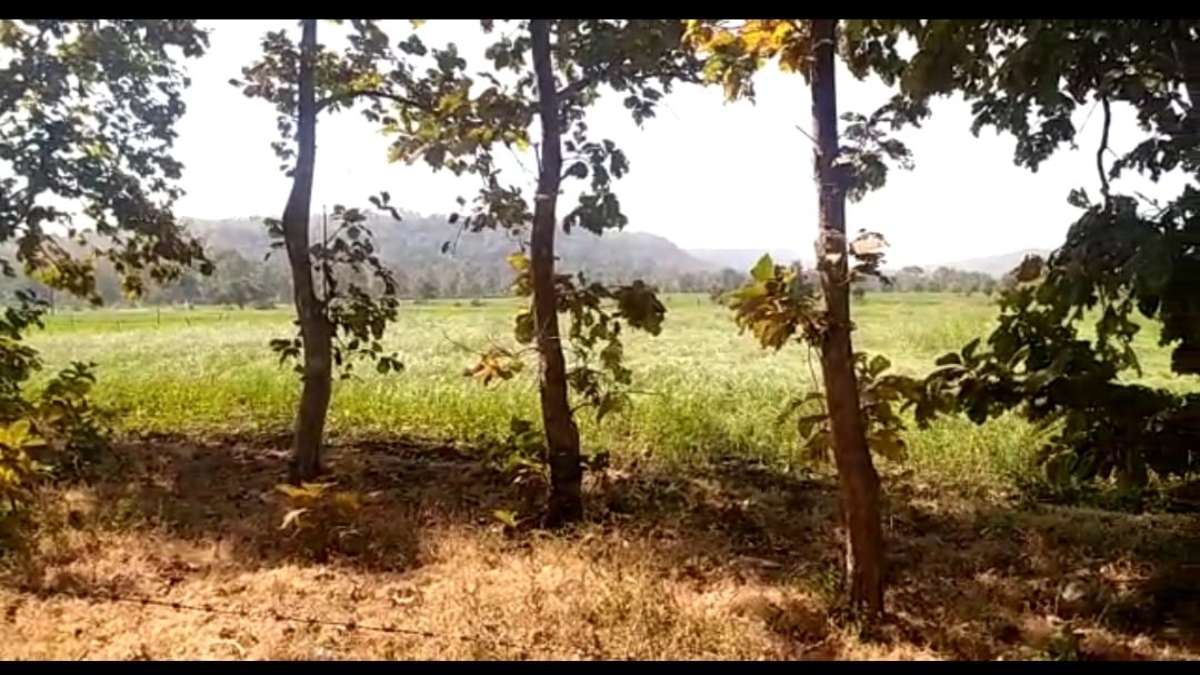 खबर का असरः आदिवासी की जमीन फर्जी तरीके से बेचने मामले में दर्ज हुआ FIR, दो आरोपियों को जेल