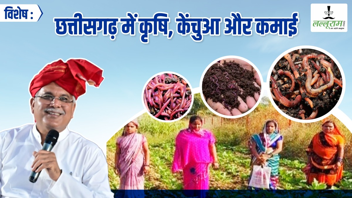 विशेष- कृषि, केंचुआ और कमाई ! मिट्टी को ‘सोना’ बना रहे केंचुआ, महिलाओं की बदल रहे तकदीर, 5.42 लाख का मुनाफा, पढ़िए बघेल सरकार ने कैसे कराई समूह की कमाई ?