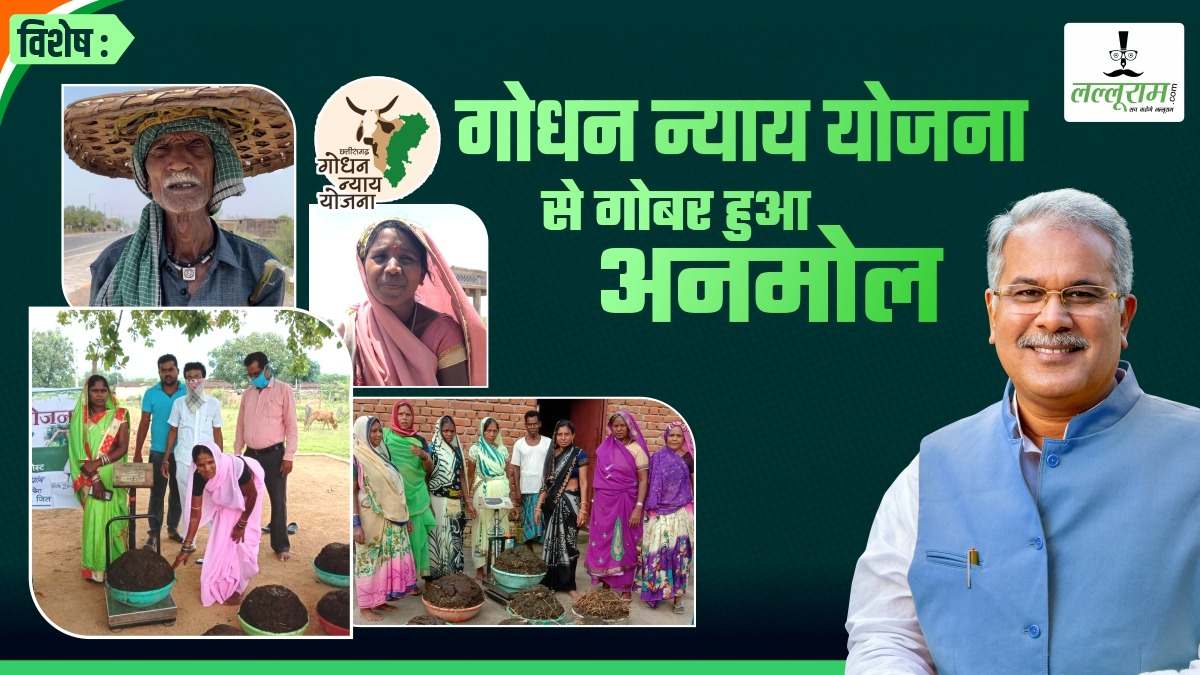 विशेष : गोधन न्याय योजना से गोबर हुआ अनमोल, चरवाहों और गौपालकों को मिला अतिरिक्त आय का स्त्रोत, गौमाता का भी बढ़ा महत्व