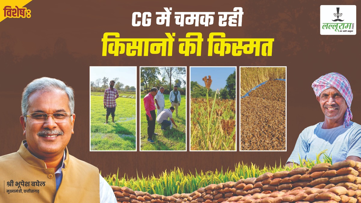 विशेष- CG बन रहा देश का मिलेट हब: कोदो, कुटकी और रागी की खेती, अन्नदाताओं के खाते में बरसे 39.60 करोड़, 13 हजार टन मिलेट की खरीदी…
