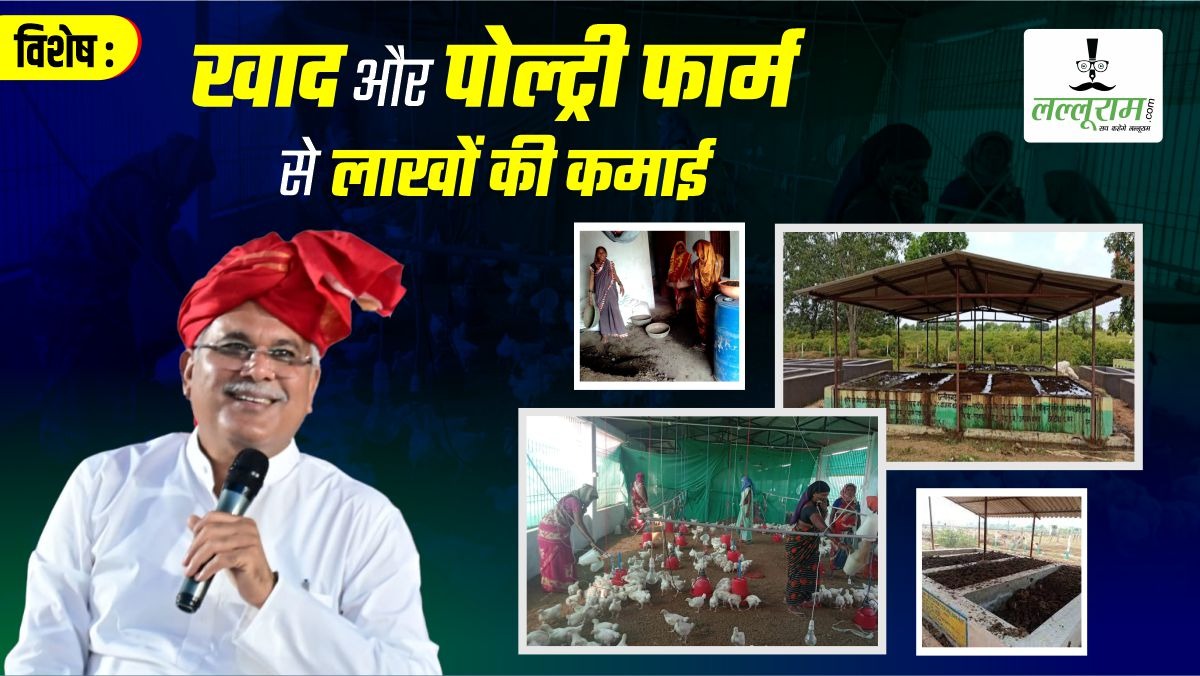विशेष- गोधन न्याय योजना बनी वरदान: खाद और पोल्ट्री फार्म से लाखों की कमाई, पढ़िए खैरागढ़ की महिलाओं की खुशहाल कहानी