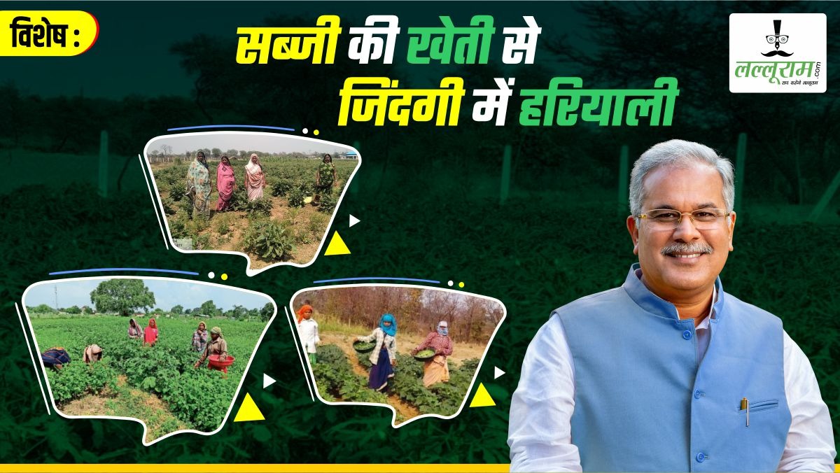 विशेष- मल्टीएक्टिव गौठान उगल रहा सोना: आलू, टमाटर, बैंगन और भिंडी उगा रहीं समूह की दीदियां, 38 एकड़ में फैला है धनकुबेर गौठान, जानिए तिलई में कैसे हो रहा तकलीफों का निदान