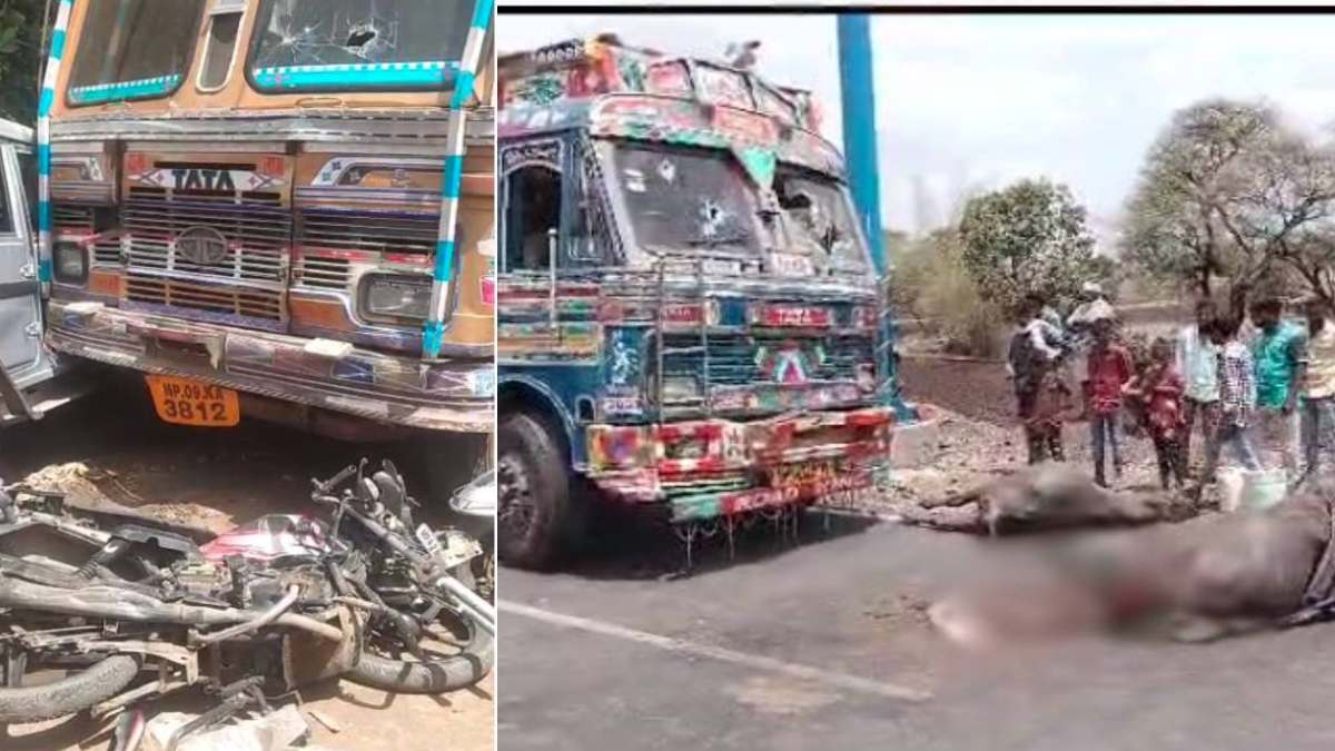 MP News: अलीराजपुर में ट्रक की चपेट में आने से 5 भैंसों की मौत, हरदा में ट्रक ने चार वाहनों को मारी टक्कर, पांच लोग घायल