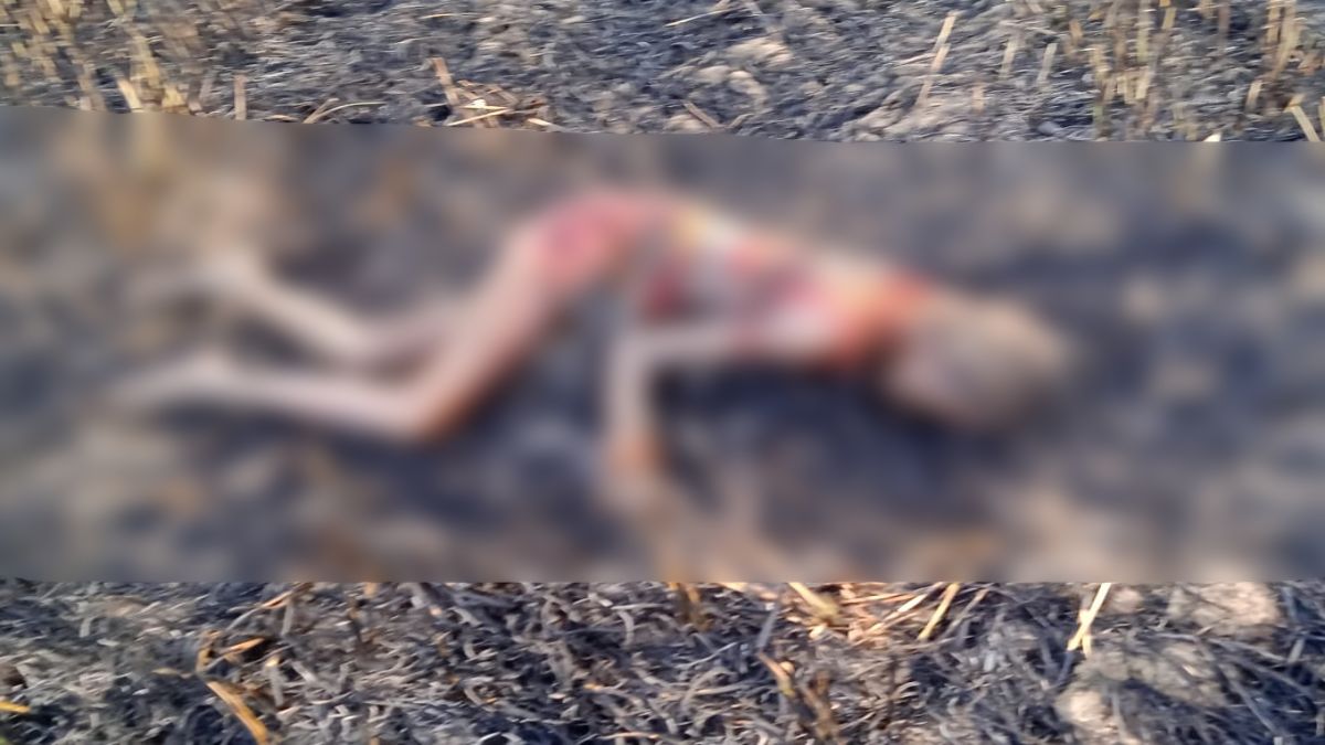 CG CRIME NEWS : खेत में मिली बुजुर्ग महिला की अधजली लाश, पलारी जलाते वक्त आग की चपेट में आने की आशंका