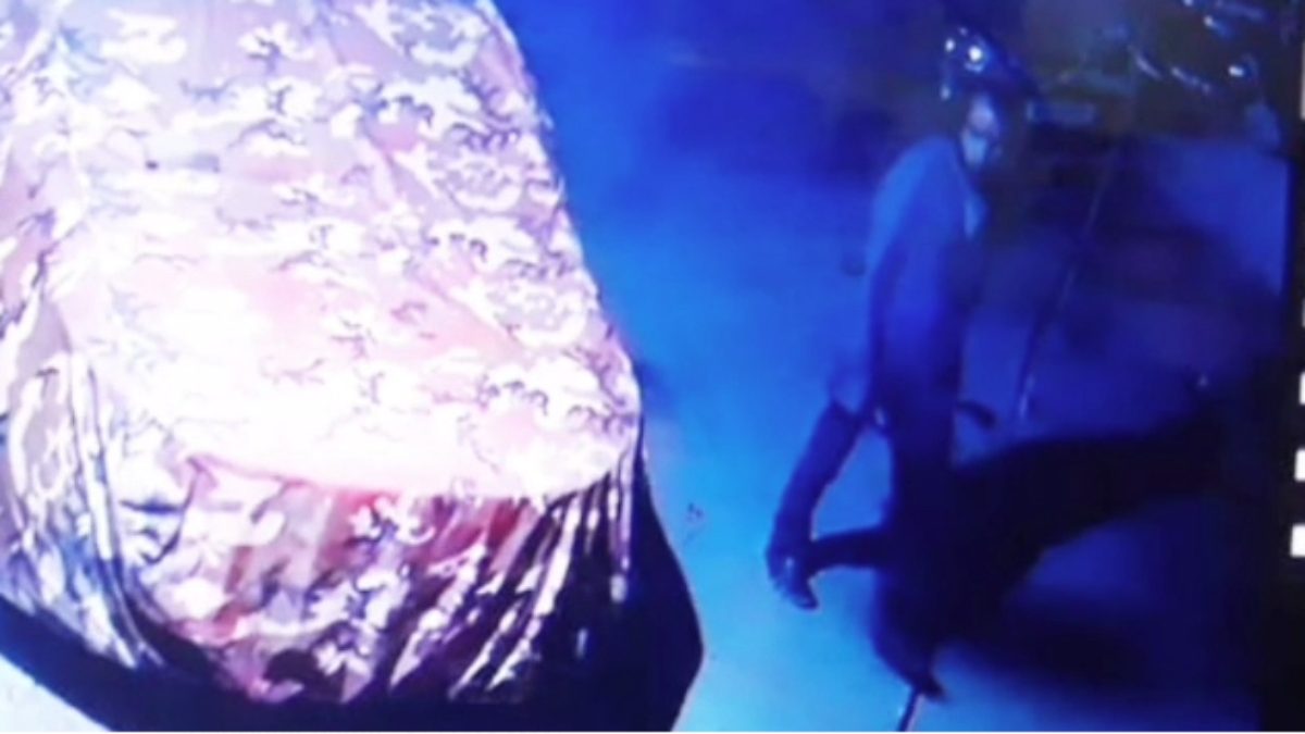 चोरों ने तीन सूने मकान को बनाया निशानाः जेवरात और कैश पर किया हाथ साफ, वारदात सीसीटीवी कैमरे में कैद