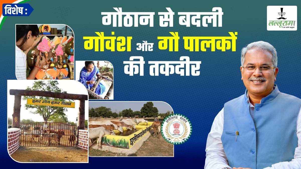विशेष : गौठान से बदली गौवंश और गौ पालकों की तकदीर, मवेशियों को मिला स्थाई बसेरा, गोधन से विभिन्न उत्पाद तैयार कर महिलाओं ने सुनिश्चित की अपनी आजीविका