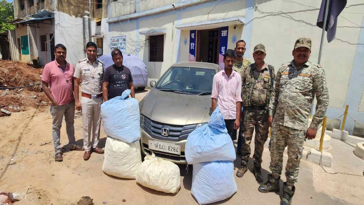 CG में दो अंतरराज्यीय गांजा तस्कर गिरफ्तार : तस्करों से 12 लाख का गांजा जब्त, कार से ले जा रहे थे एमपी