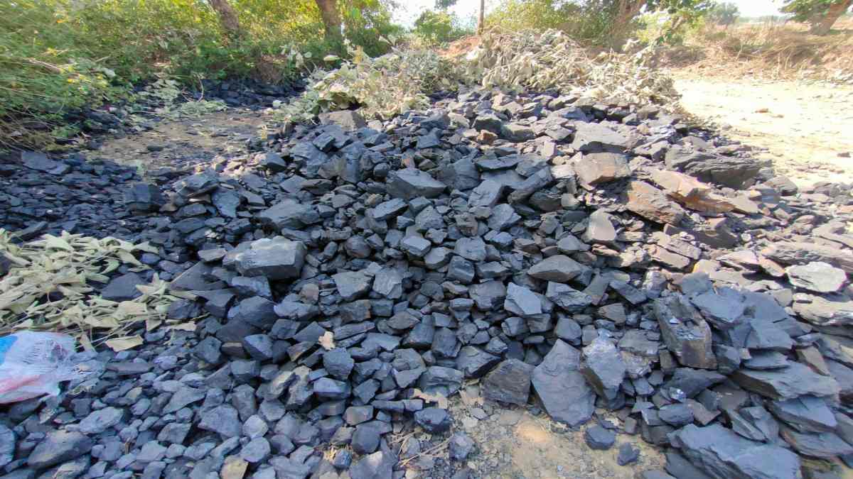 कोयले का अवैध भंडारण: पुलिस ने दबिश देकर 37 टन कोल किया जब्त, तीन के खिलाफ मामला दर्ज