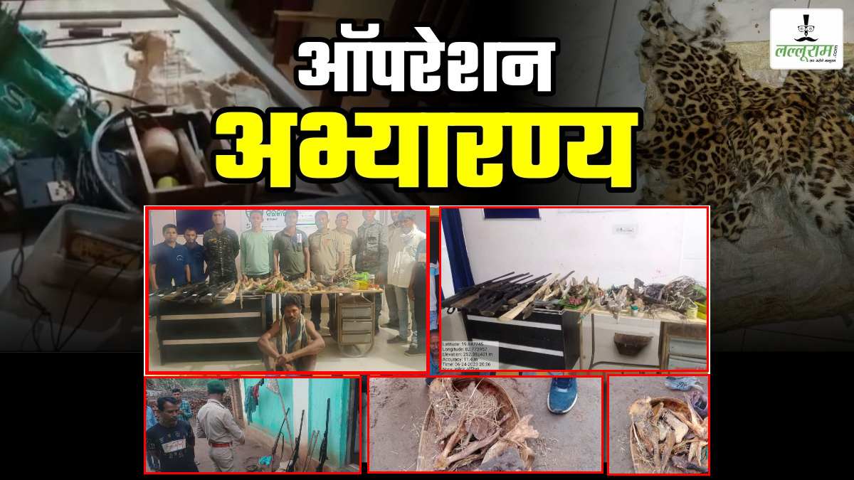 ऑपरेशन अभ्यारण पार्ट-2: तेंदुए के शिकारियों पर शिकंजा, ओडिशा से दबोच लाई टीम, 12 सुअर के जबड़े और 6 बंदूक जब्त, जानिए कितने शिकारियों की तलाश ?