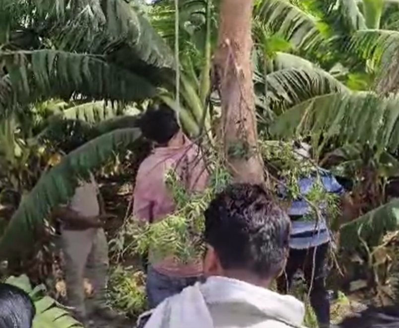 MP में किसान ने लगाई फांसीः ठेकेदार ने जेसीबी चलाकर लाखों का केला किया बर्बाद, कांग्रेस ने ठेकेदार के खिलाफ FIR दर्ज कर 25 लाख मुआवजे की मांग की